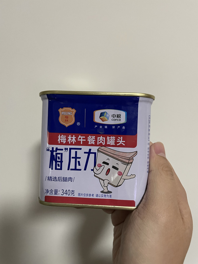 梅林肉类罐头