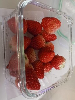 玻璃食盒，女士带水果必备