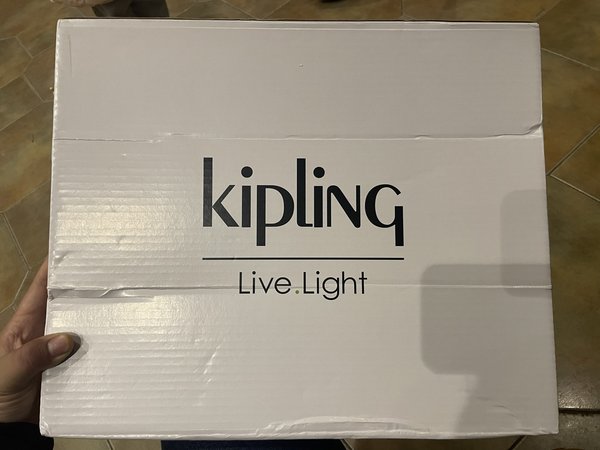 招行10元风暴，Kipling双肩包