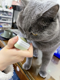 猫咪爱舔舔——京造猫薄荷球