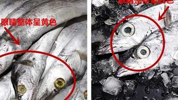 市井觅食 篇四十六：买带鱼，选“黄眼睛还是黑眼睛”的？牢记3不买，挑选带鱼简单了