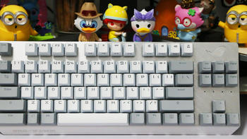 ROG游侠NX TKL月耀白机械轴游戏键盘：NX轴体 后起之秀
