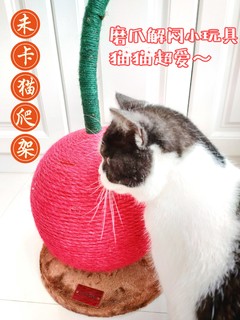 可爱的猫咪新玩具