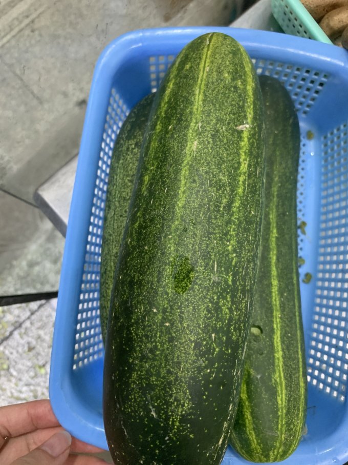 火锅烫点这个粗黄瓜味道也很不错