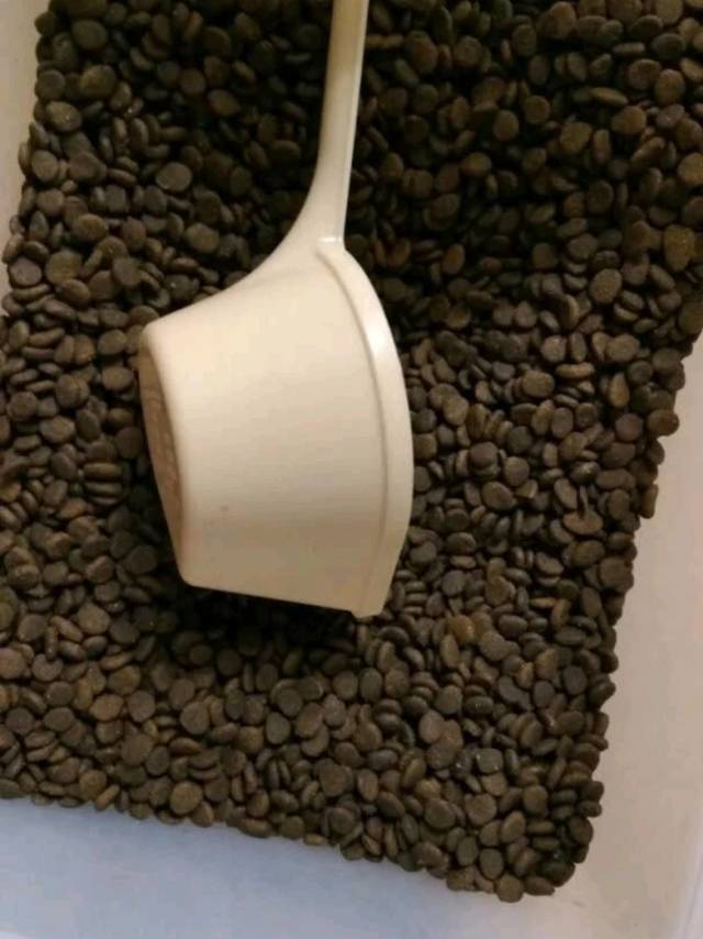 爱肯拿无谷进口猫粮 