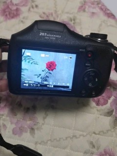 Sony DSC-H300 数码相机