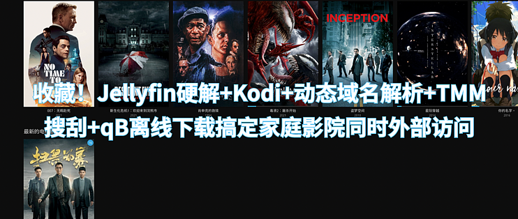 Nas之路篇五 收藏 Jellyfin硬解 Kodi 动态域名解析 Tmm搜刮 Qb离线下载搞定家庭影院同时外部访问 Nas存储 什么值得买