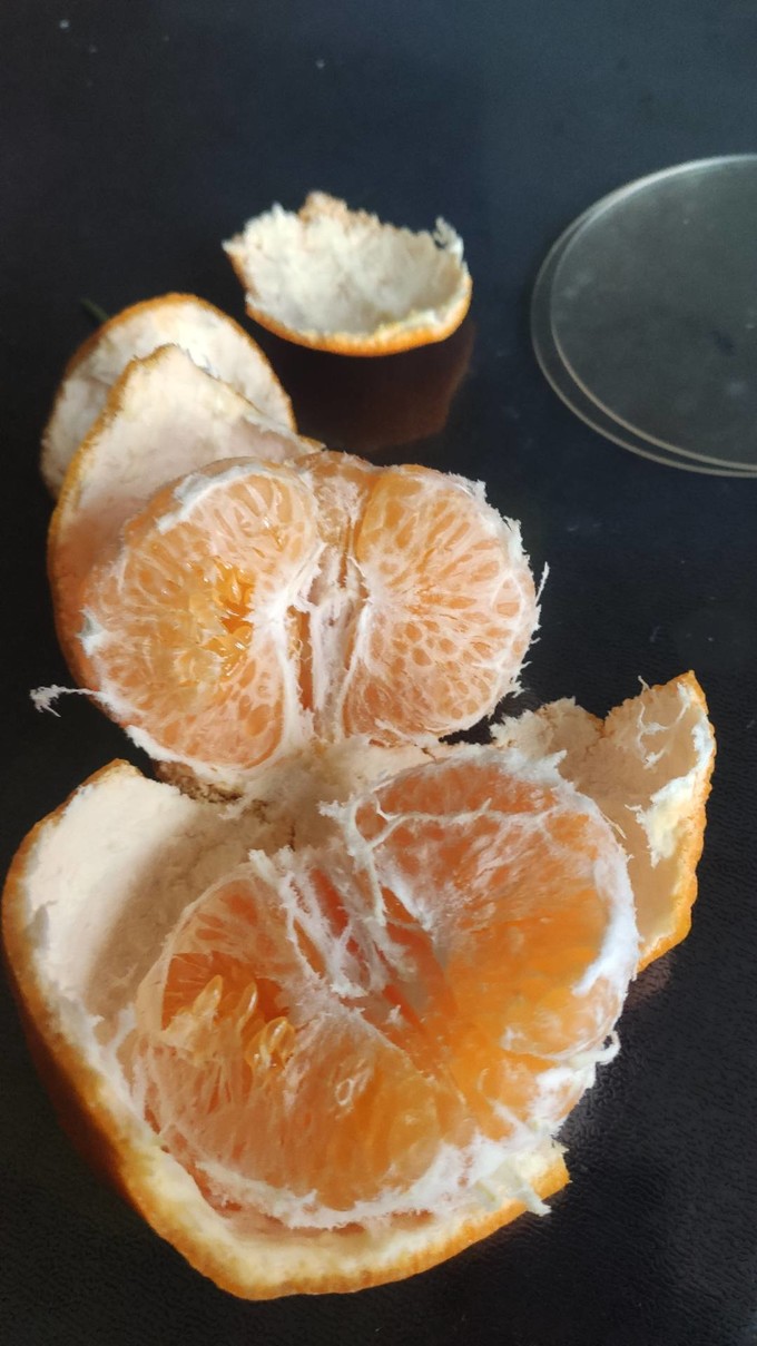鲜指南橙子