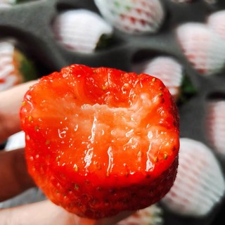 丹东大草莓🍓🍓🍓🍓好吃😋