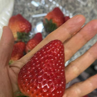 如此草莓，简直少见
