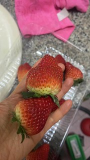 如此草莓，简直少见