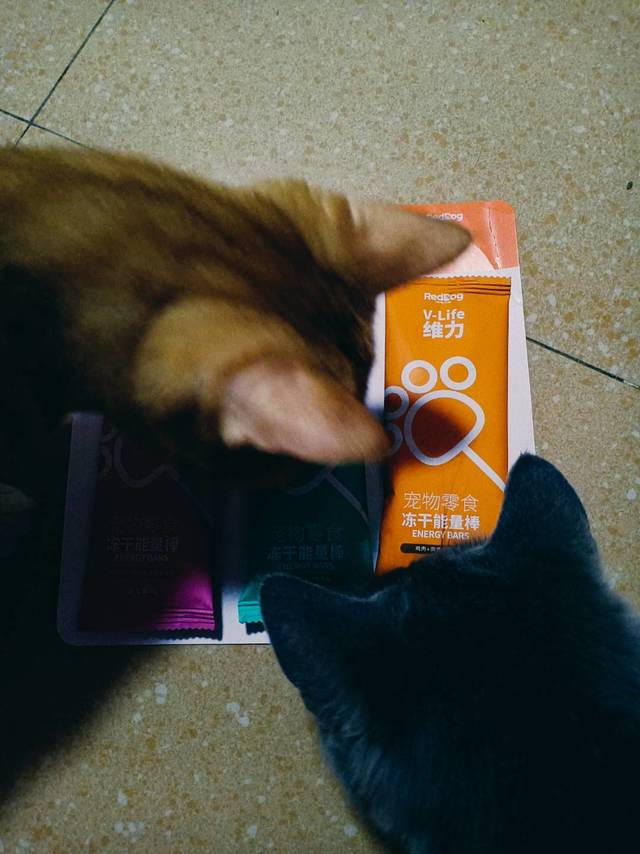 逗猫棒—猫咪棒棒零食