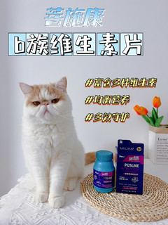 小猫咪也需要补充维生素，铲屎官们知道吗？