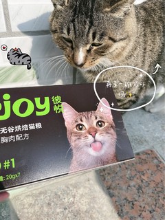 猫咪最爱吃的猫粮来了