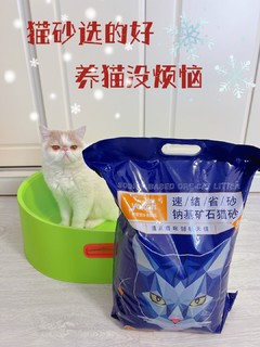 猫砂选的好，养猫轻松没烦恼