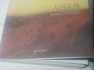 时隔两年才打开太宰治的这本作品