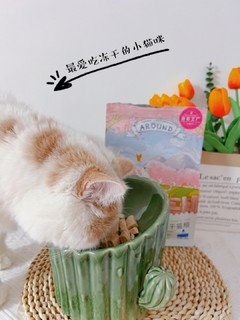 可以当主食吃的冻干你家小猫咪get了吗？