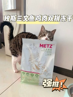 猫主子的最爱