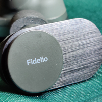 不愧 “耀市之声”|飞利浦新品降噪真无线耳机FidelioT1开箱初评