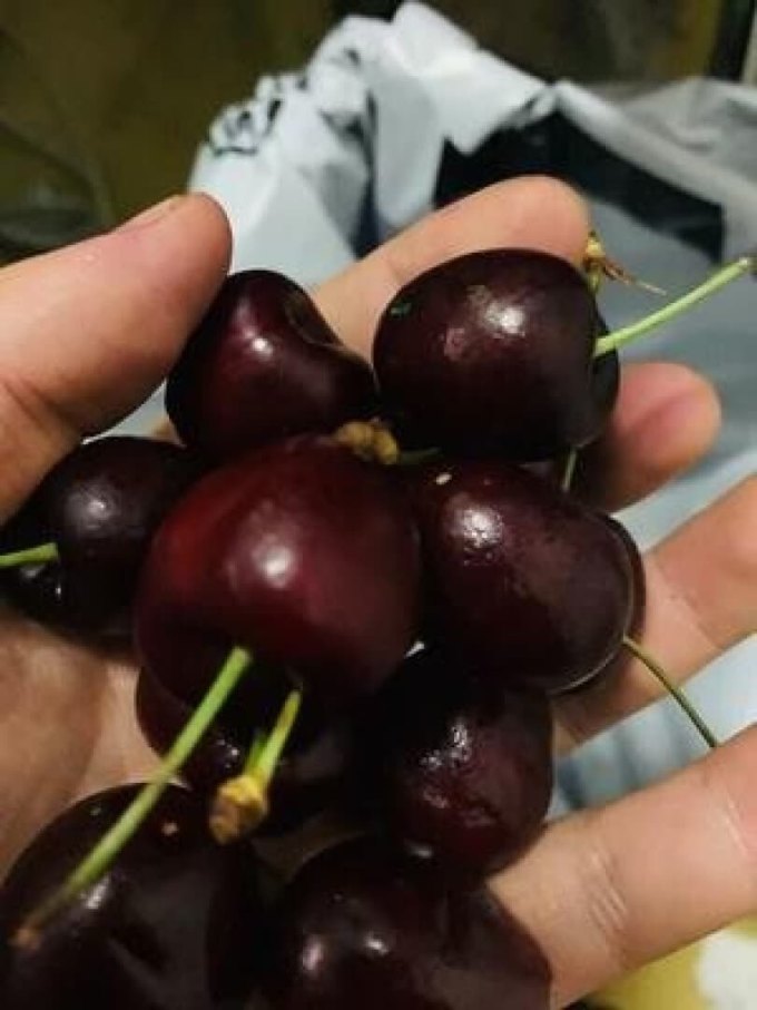 车厘子/樱桃