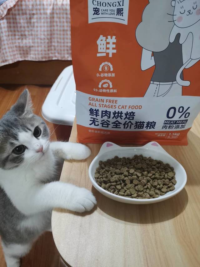 题：小猫咪在虎年吃什么才能长得虎头虎脑呢