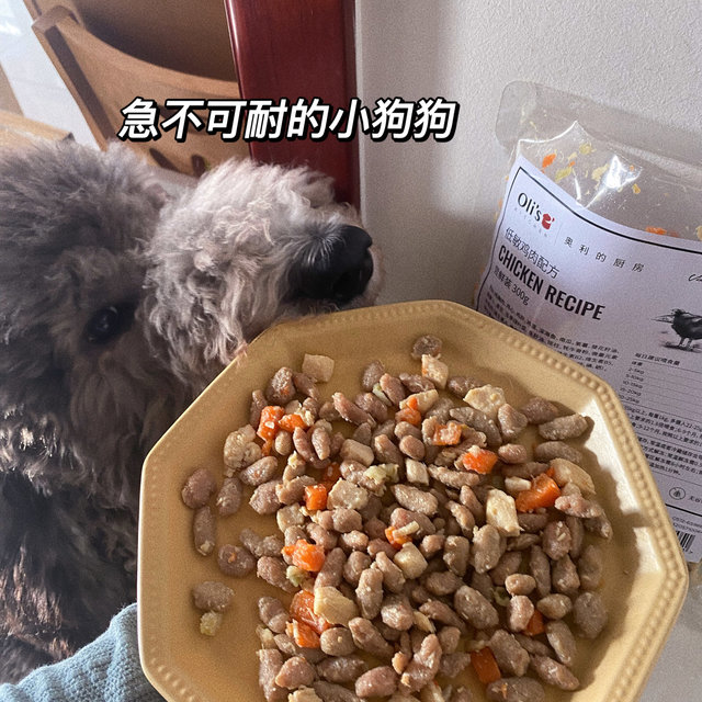 狗狗的鲜食大满贯