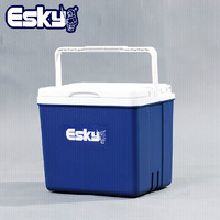 爱斯基ESKY10L大容量户外保温箱冷藏箱包便携式车载保温箱外卖箱送快餐箱附12冰袋