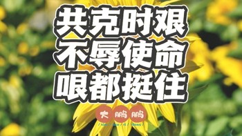 因为他们，你可以永远相信天津！记录我的一天防疫大筛志愿者的经历，另附疫情防控囤货清单，天津必胜！