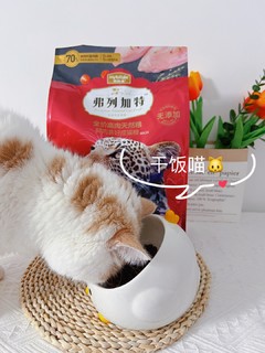 猫粮选择困难？快来看看这篇