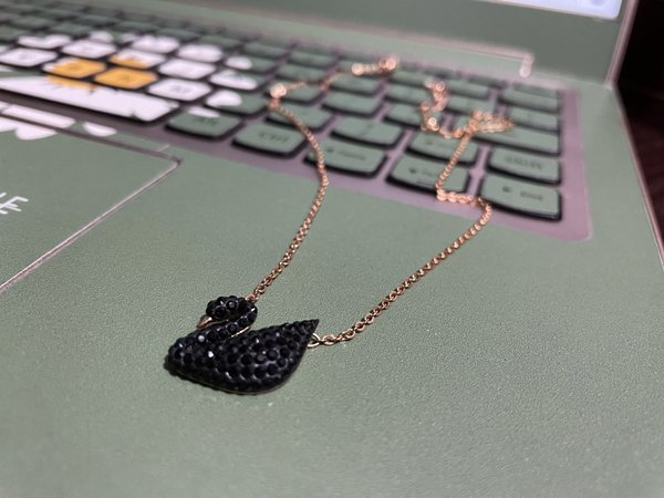 精致小物，施华洛世奇的黑天鹅！