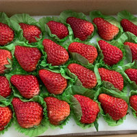 我爱分享让生活便利起来 篇七十六：京东丹东99草莓开箱