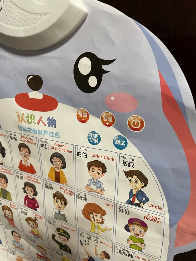 乐乐鱼益智玩具怎么样 有声挂图,来认识这个世界吧!_什么值得买