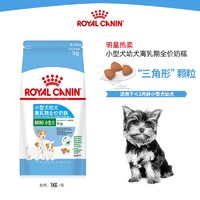 献给青铜铲屎官｜500买的狗却花了5000配齐装备，新手养宠需要哪些刚需品，胡子带你一起选～