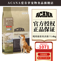 献给青铜铲屎官｜500买的狗却花了5000配齐装备，新手养宠需要哪些刚需品，胡子带你一起选～