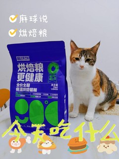 魔镜魔镜~猫咪吃了麻球说会变圆球吗？