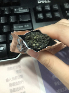 黑芝麻丸