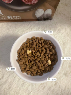 小猫咪也需要进补吗