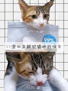 一款让猫咪爱不释手的主食冻干!