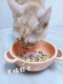 一款让猫咪爱不释手的主食冻干!