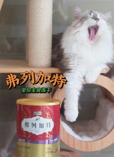 猫粮