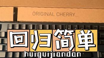 樱桃（Cherry）MX1.0 TKL G80-3810LYAEU-2 机械键盘使用体验
