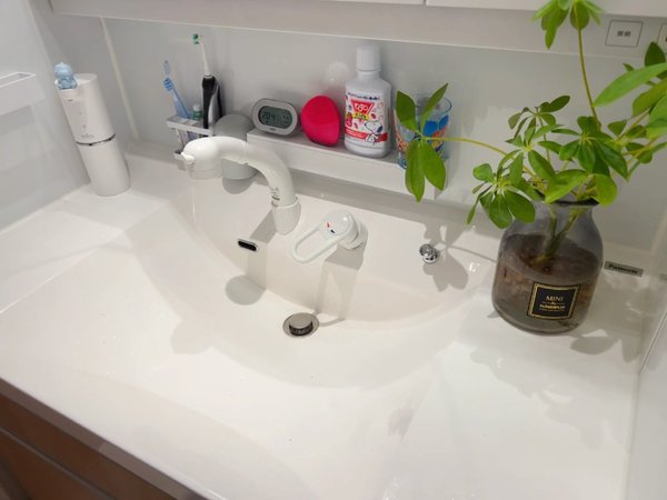 可以直接用水龙头冲的洗漱区，你们想要吗？