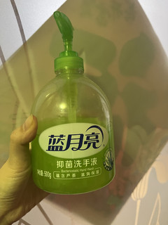 蓝月亮抑菌洗手液，守护家人健康！