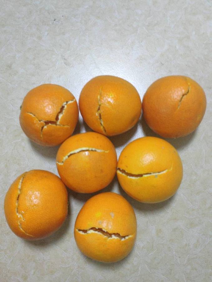 我可能测了个假血橙