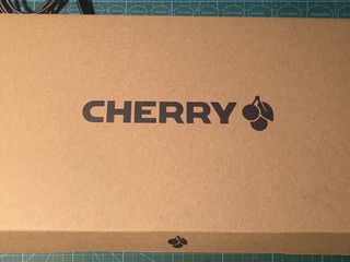 cherry mx1.0 tkl 