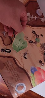 孩子为什么都喜欢蚂蚁