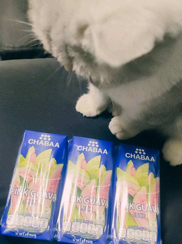 泰国果汁还不错