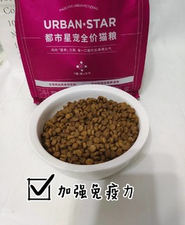 一款高 性价比猫粮|城市猫咪必备!