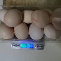 2.9元10只的鸡蛋还要吐槽该不该？