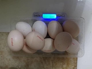 2.9元10只的鸡蛋还要吐槽该不该？